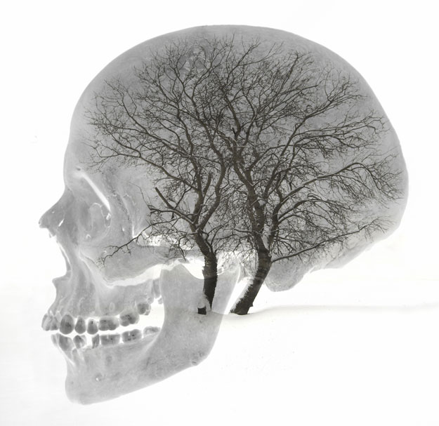 Anatomy of Man © Daniel Lovrić