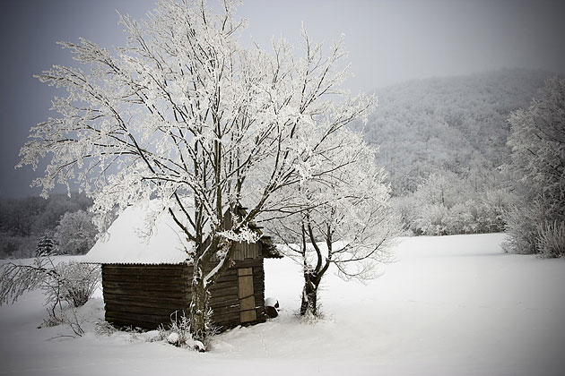 Kućica u snijegu © Branimir Pavlić