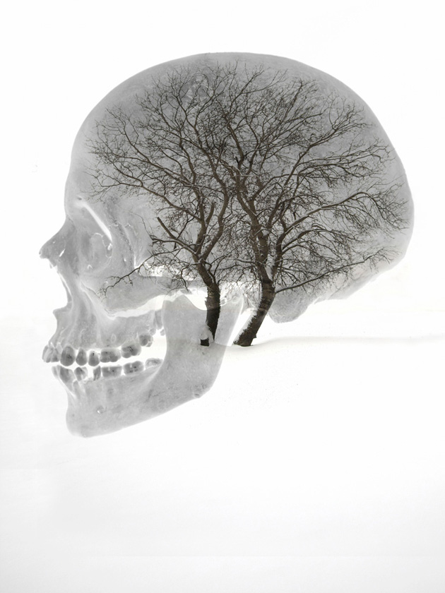 Daniel Lovrić - Anatomy of Man